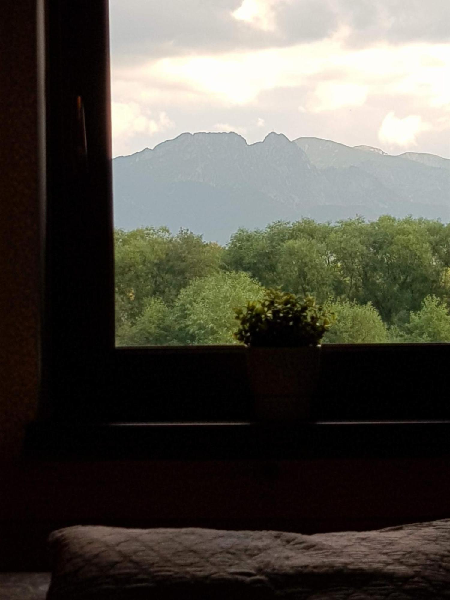 Apartamenty Magiczny Kacik Poronin Esterno foto